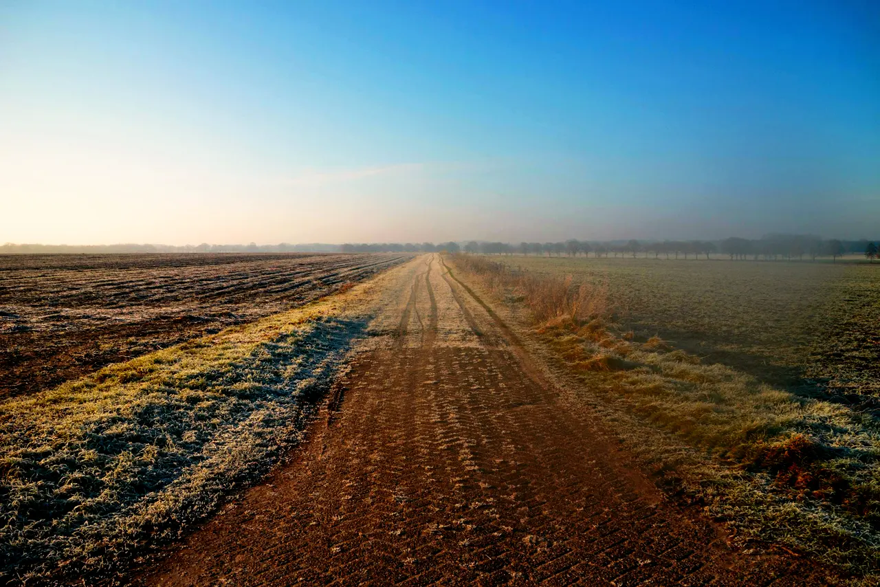 Een pad door de polder, rijp op het gras