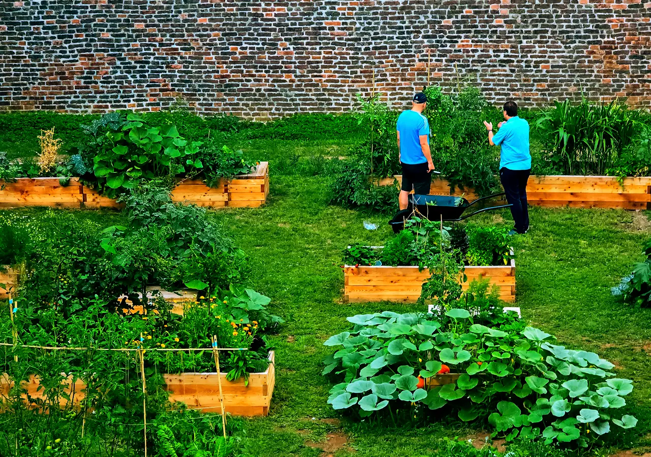 Two people in the vegetable garden
